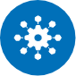 Micro-segmentation